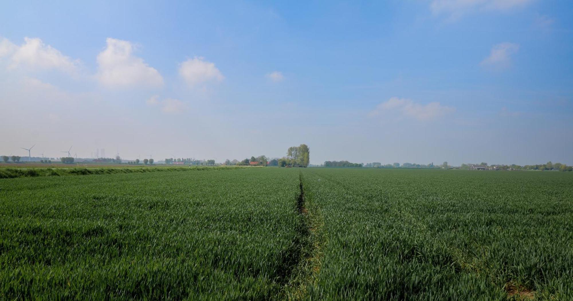Hof Nieuwerkerk Chalet 2 Arnemuiden Dış mekan fotoğraf
