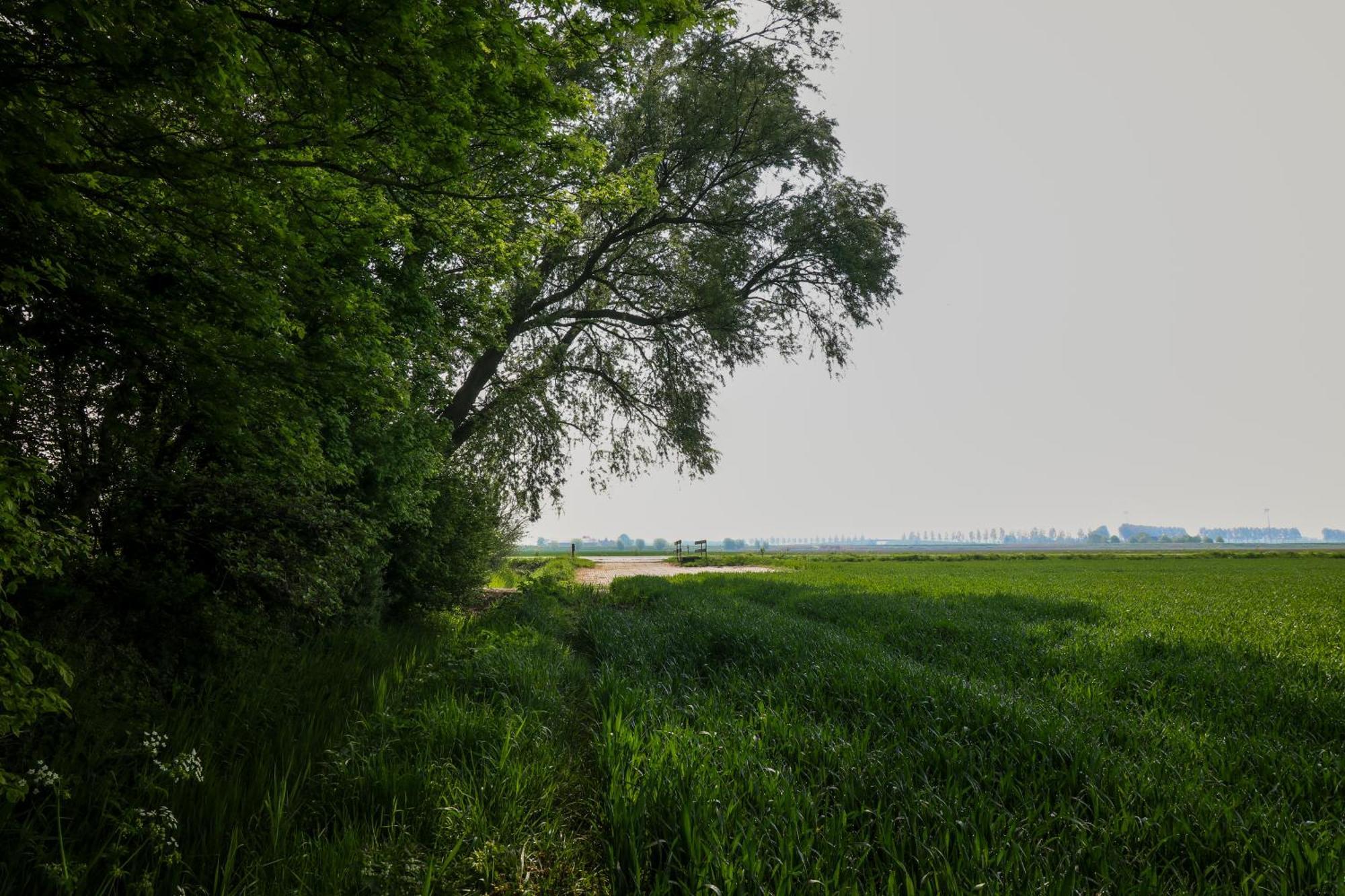 Hof Nieuwerkerk Chalet 2 Arnemuiden Dış mekan fotoğraf